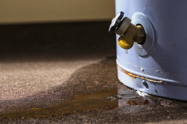 Best Residential water damage restoration  in Heceta Beach, OR