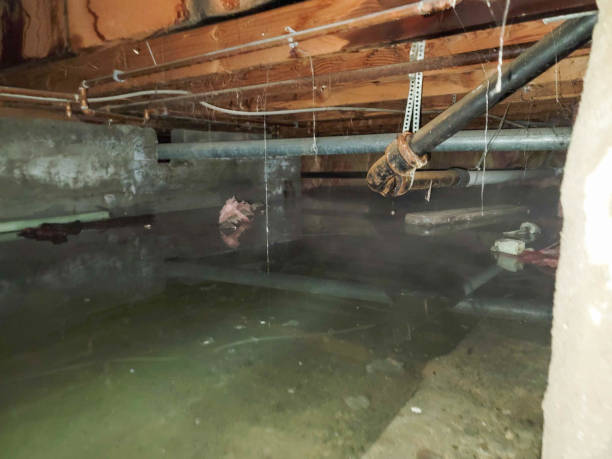 Best Fire Damage Restoration  in Heceta Beach, OR