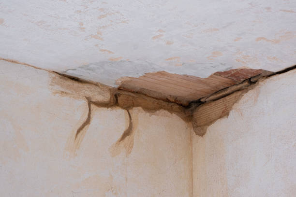 Best Water damage mitigation services  in Heceta Beach, OR