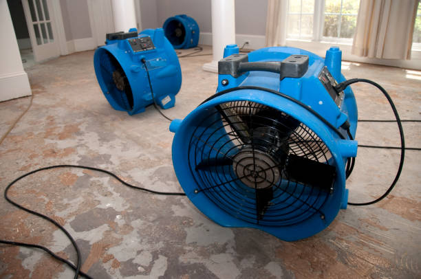 Best Emergency water damage restoration  in Heceta Beach, OR
