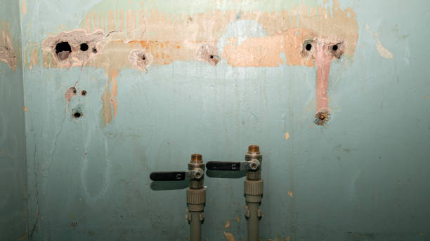 Best Residential water damage restoration  in Heceta Beach, OR