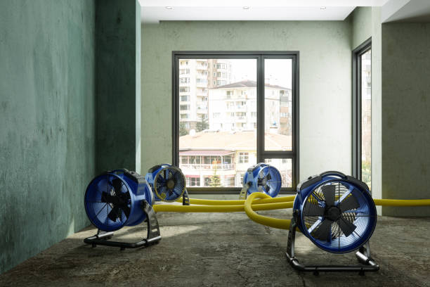 Best Water damage restoration near me  in Heceta Beach, OR